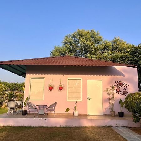 Gazibo Elegant Farm Stay With Swimming Pool Jaipur Eksteriør bilde